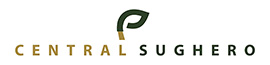 WordPress Logo